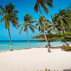 Coconut Court Hotel Christ Church